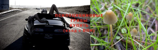 стафф Балабаново