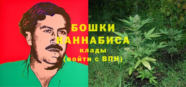 прущие грибы Балахна