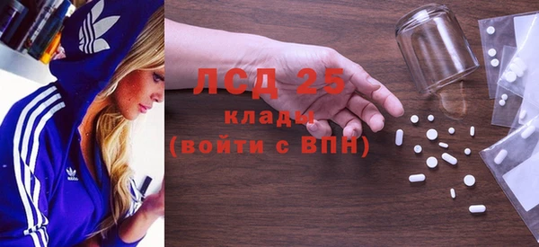 прущие грибы Балахна