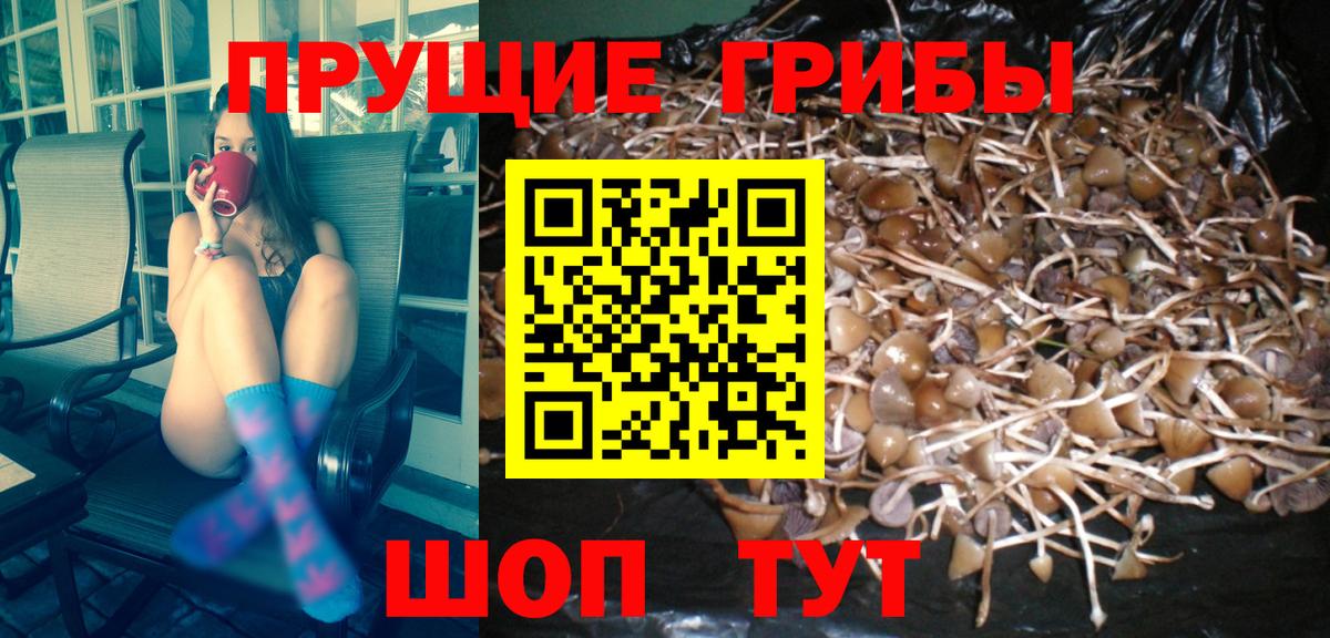Радужный  Галлюциногенные грибы Cubensis  Вход с VPN 
