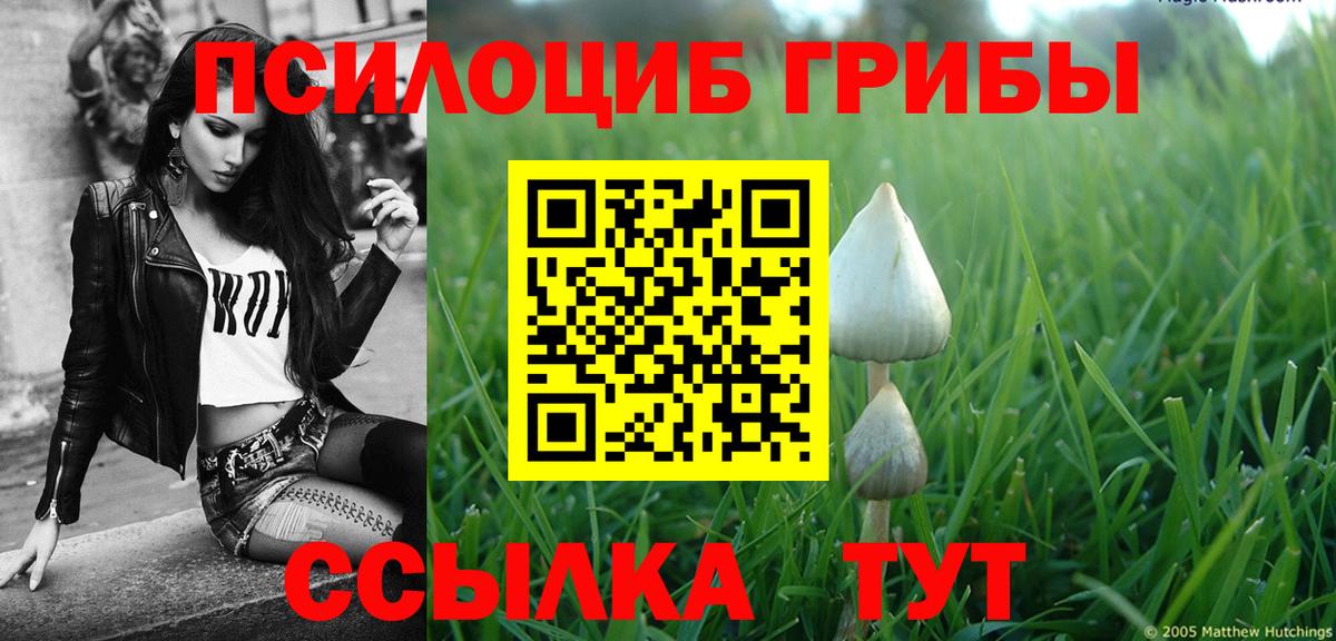 Галлюциногенные грибы мицелий Радужный